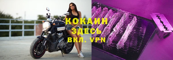 дживик Алзамай
