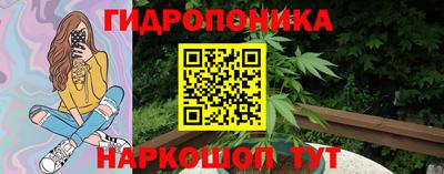 стафф Усть-Илимск