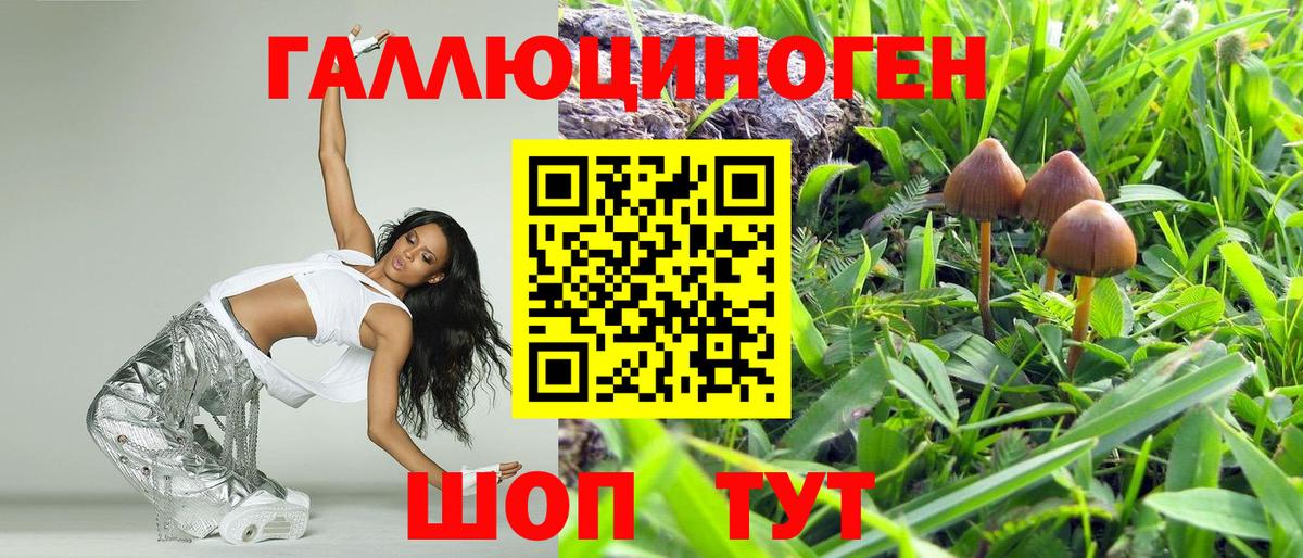 Галлюциногенные грибы мицелий Белебей